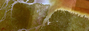 Mapeamento aprimorado do potencial de sucessão de áreas sensíveis de manguezal e florestas de várzea no litoral Paraense, usando PALSAR e LANDSAT