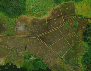Métodos Tradicionais e Avanços nos Algoritmos para Classificação de Uso e Cobertura da Terra