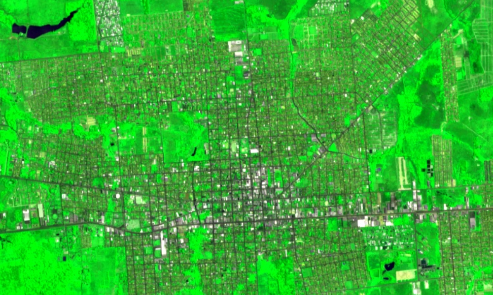Avaliação da Qualidade Ambiental Urbana de Áreas Verdes em Cidades Médias da Amazônia